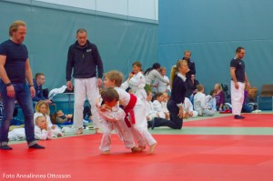 20160331 Bild 21 - Annalinnea Ottosson 